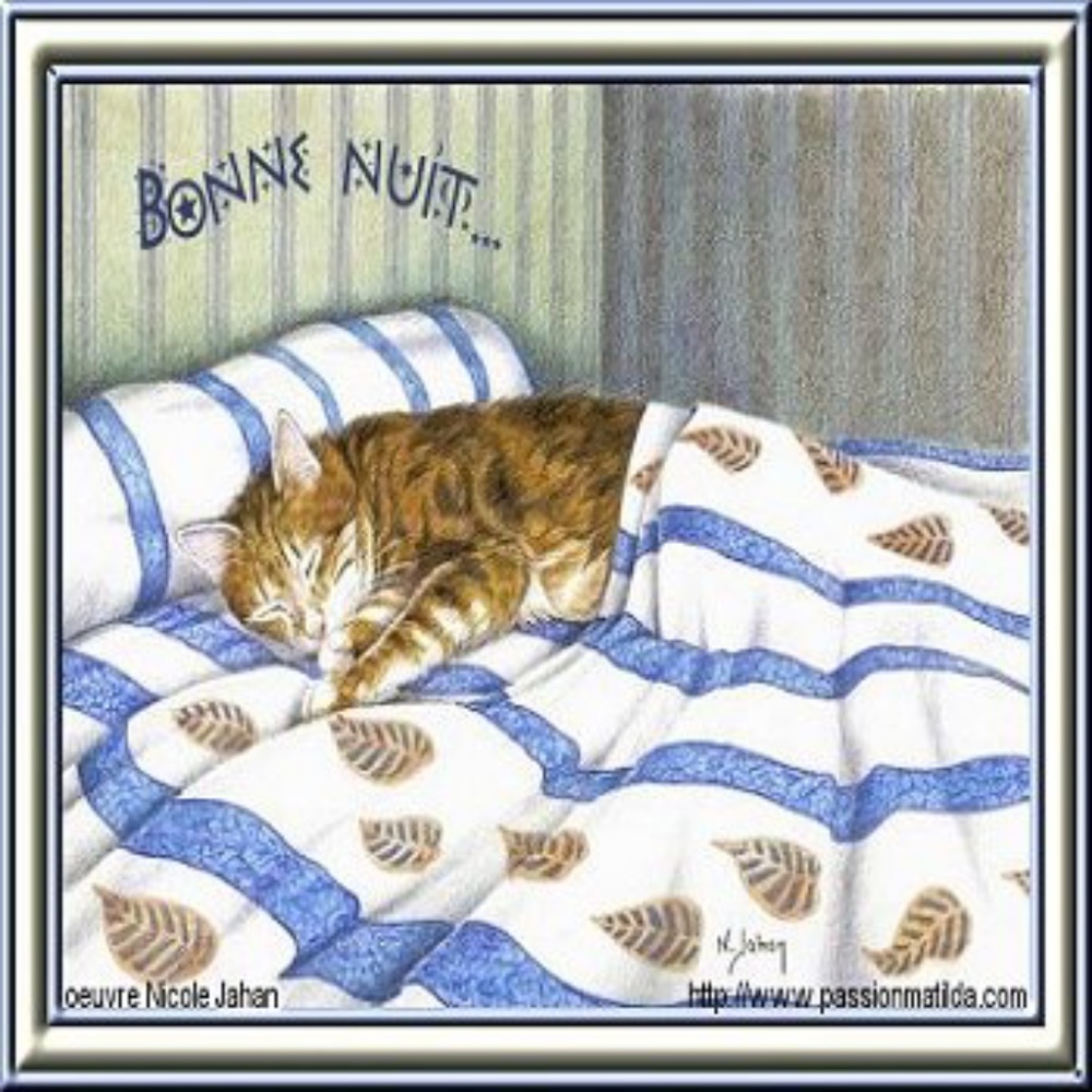 Meet your Posher, Marina